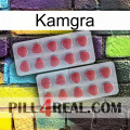 Kamgra 19